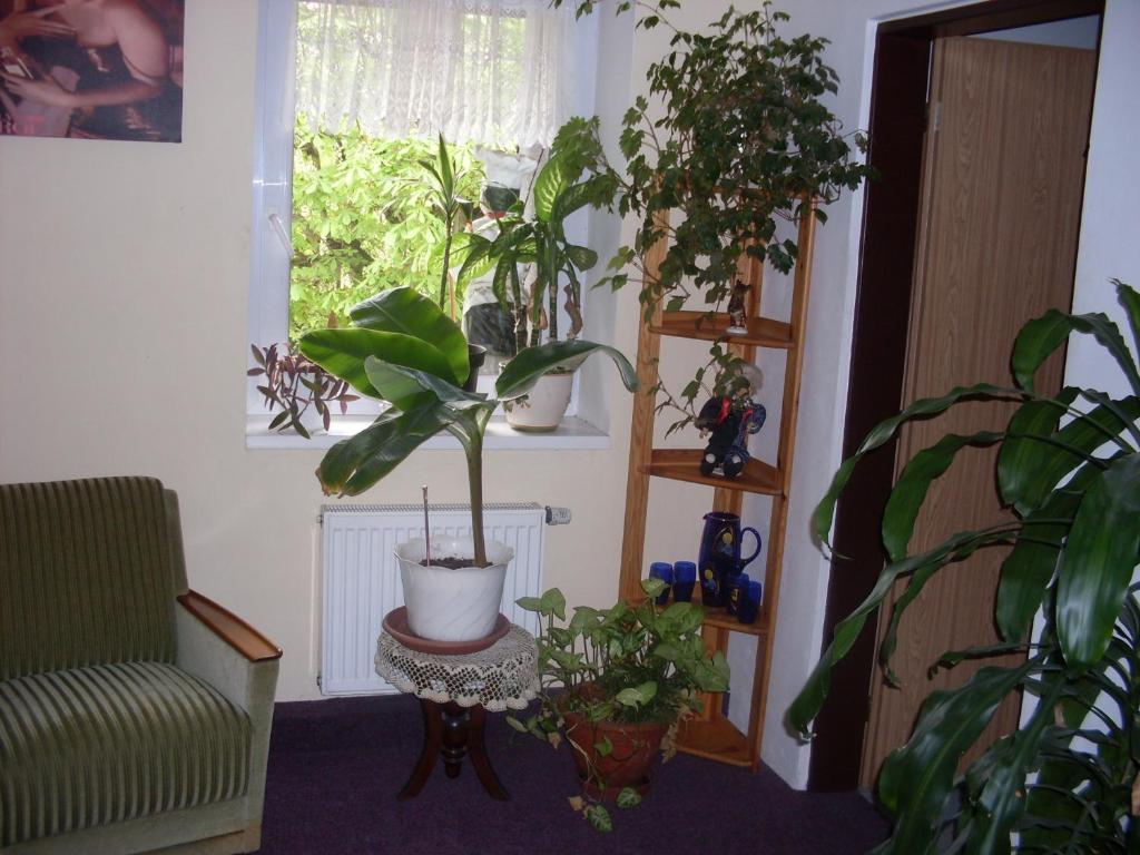 Pension U Kaštanů Karlovy Vary Ruang foto